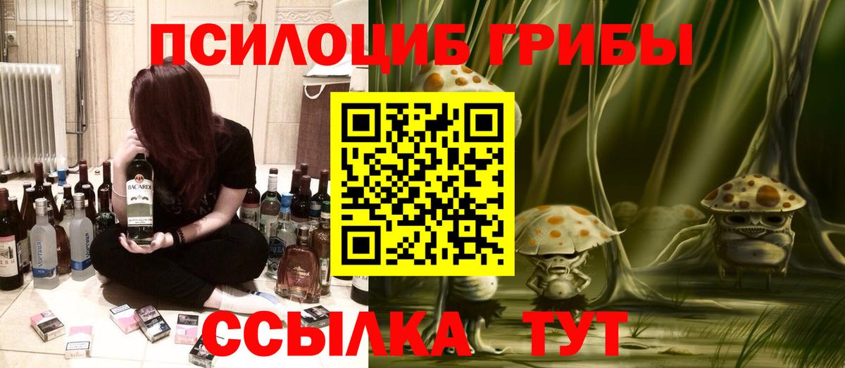 Назарово  наркота  Вход с VPN  Псилоцибиновые грибы Psilocybine cubensis 